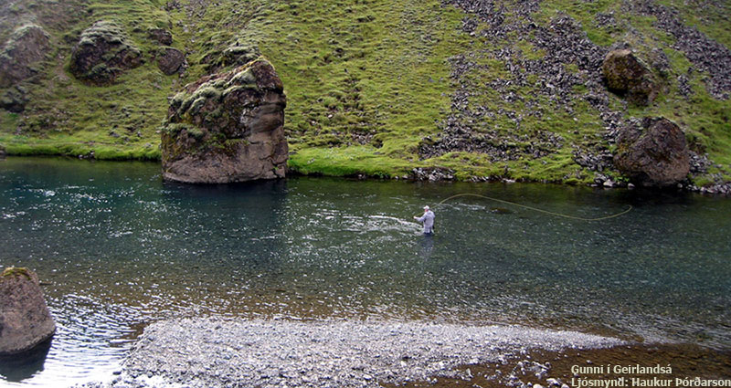 Ljósmynd: Haukur Þórðarson, Gunni í Geirlandsá